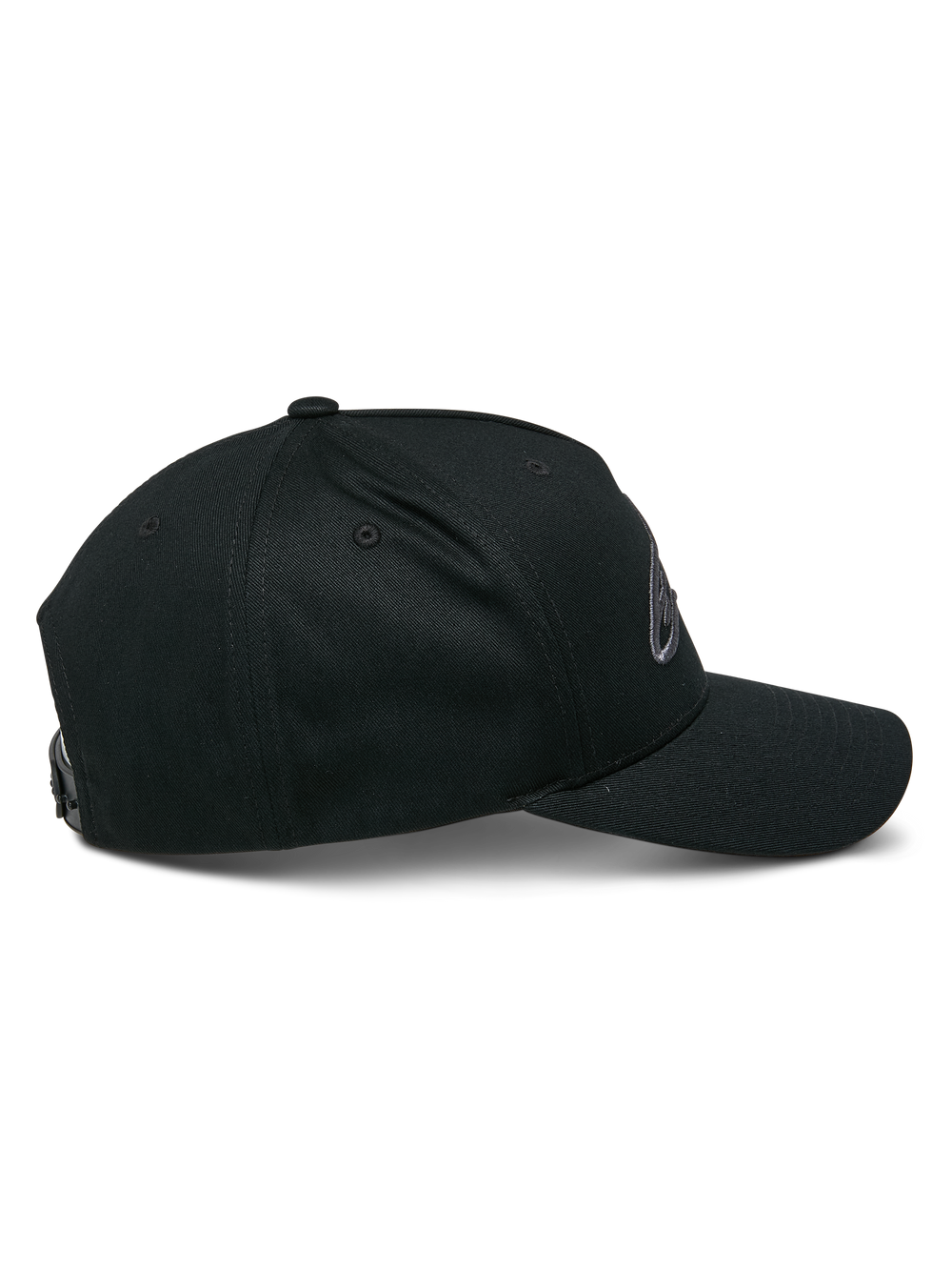 Ageless Snapback Hat