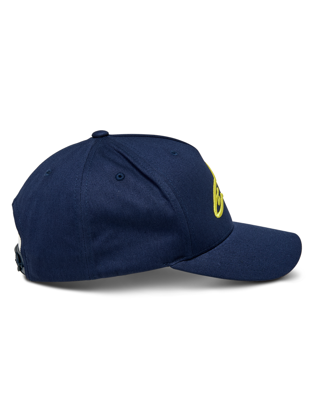 Ageless Snapback Hat