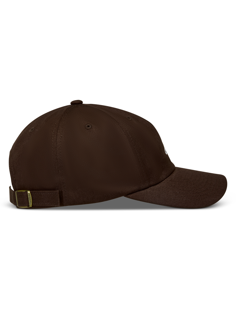 Dylan Dad Hat