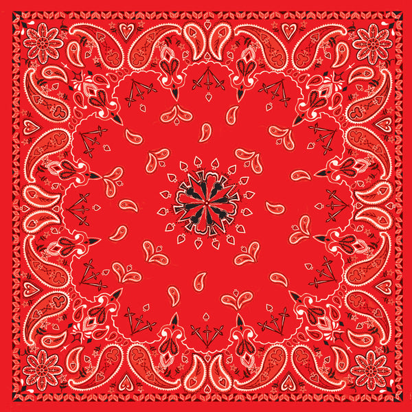 f042d2e05905f2827ecd73b2aa3e84c9.jpg
